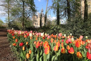 ベルギー花巡りの旅