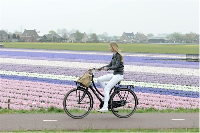 アムステルダムからのサイクリングツアー