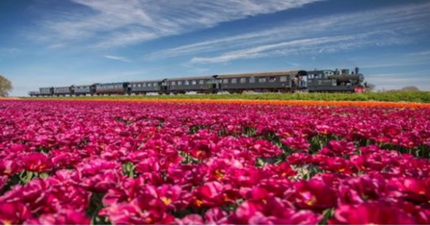 ヨーロッパ絶景鉄道の旅編