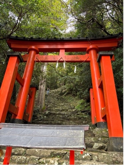 カエルの神様と速玉大社へ