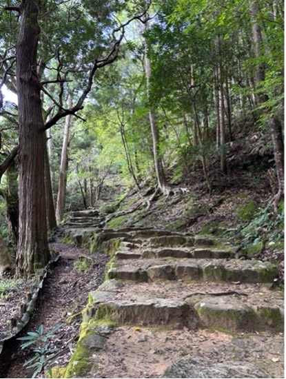 カエルの神様と速玉大社へ