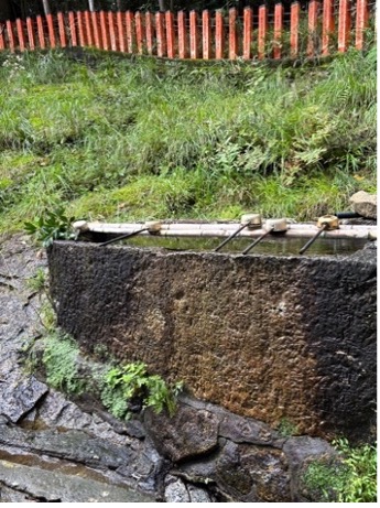 カエルの神様と速玉大社へ