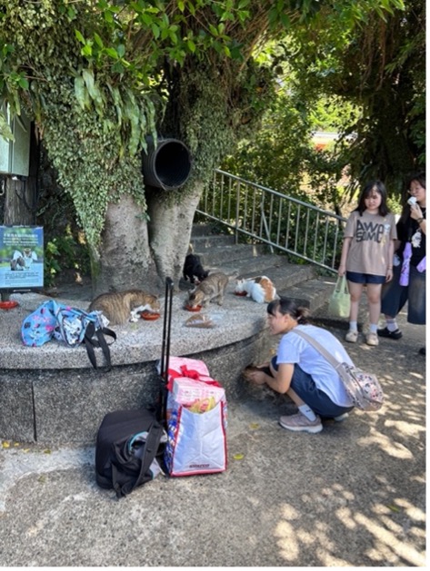 猫村へ行く– 　台湾母息子旅編