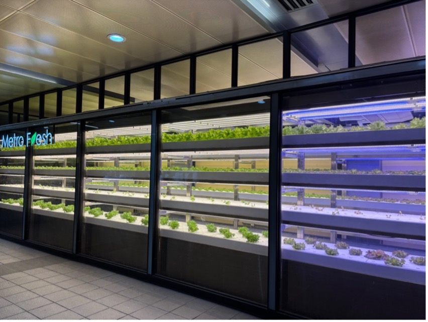 台北での観光　– 　台湾母息子旅編